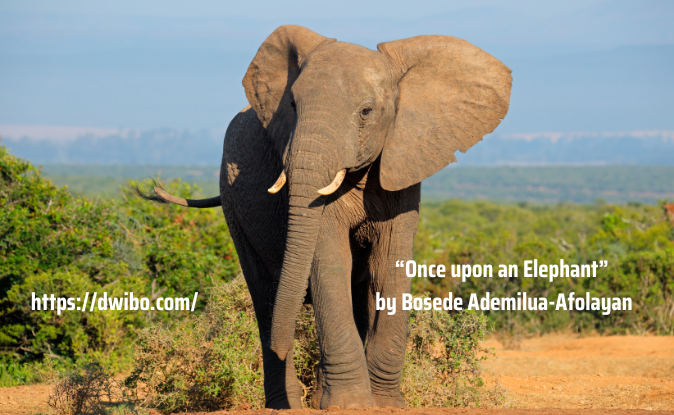 ‘Once Upon an Elephant’ by Bosede Ademilua-Afolayan